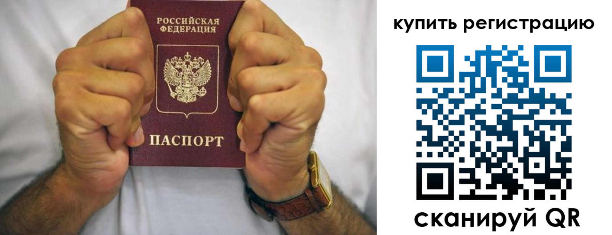 купить прописку в Светлогорске